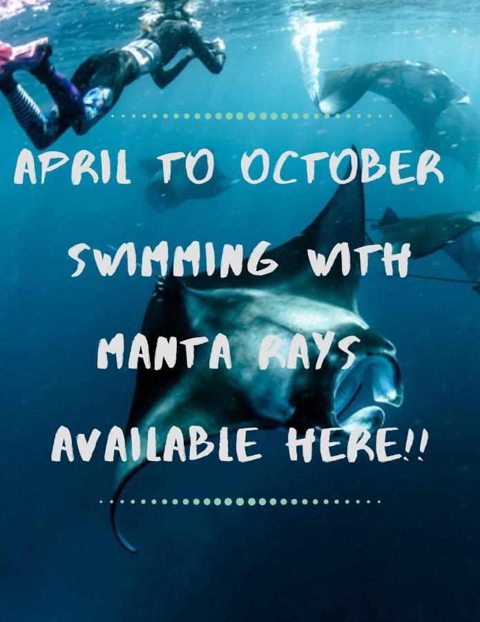White Sandy Beach-Best Manta Snorkeling Tethi Εξωτερικό φωτογραφία
